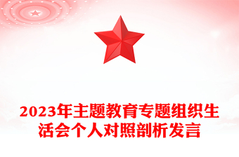 2023年主題教育專(zhuān)題組織生活會(huì)個(gè)人對(duì)照剖析發(fā)言PPT模板(講稿)