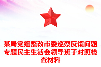 某局黨組整改市委巡察反饋問題專題民主生活會領(lǐng)導(dǎo)班子對照檢查材料