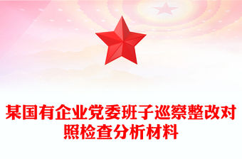 某國有企業黨委班子巡察整改對照檢查分析材料