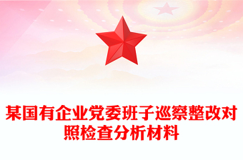 某國(guó)有企業(yè)黨委班子巡察整改對(duì)照檢查分析材料