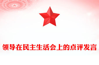 領導在民主生活會上的點評發言