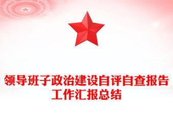 領導班子政治建設自評自查報告工作匯報總結