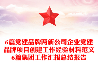 6篇黨建品牌兩新公司企業(yè)黨建品牌項(xiàng)目創(chuàng)建工作經(jīng)驗(yàn)材料范文6篇集團(tuán)工作匯報(bào)總結(jié)報(bào)告