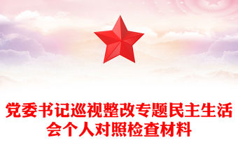 黨委書記巡視整改專題民主生活會個人對照檢查材料