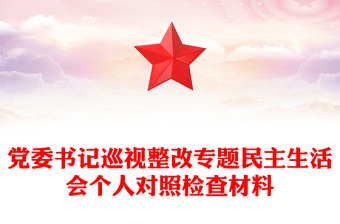 黨委書記巡視整改專題民主生活會個人對照檢查材料