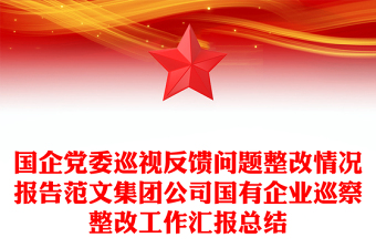 國企黨委巡視反饋問題整改情況報告范文集團公司國有企業(yè)巡察整改工作匯報總結(jié)