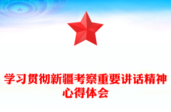 學(xué)習(xí)貫徹新疆考察重要講話精神心得體會(huì)