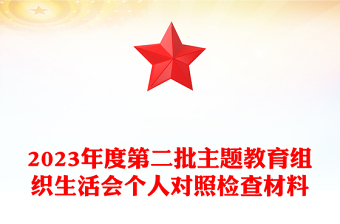 2023年度第二批主題教育組織生活會個人對照檢查材料