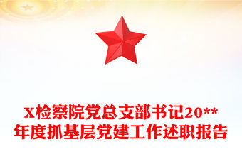 X檢察院黨總支部書記20**年度抓基層黨建工作述職報告