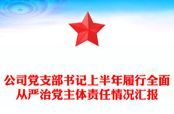 公司黨支部書記上半年履行全面從嚴治黨主體責任情況匯報