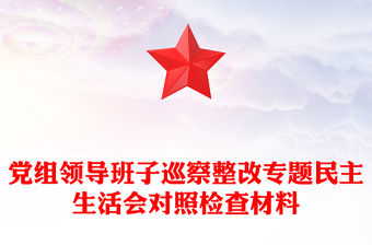 黨組領(lǐng)導(dǎo)班子巡察整改專題民主生活會(huì)對(duì)照檢查材料