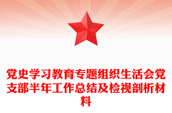 黨史學(xué)習(xí)教育專題組織生活會黨支部半年工作總結(jié)及檢視剖析材料