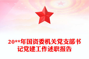20**年國資委機關黨支部書記黨建工作述職報告