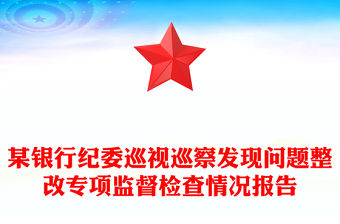 某銀行紀委巡視巡察發現問題整改專項監督檢查情況報告