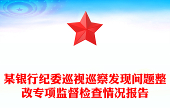 某銀行紀委巡視巡察發(fā)現問題整改專項監(jiān)督檢查情況報告