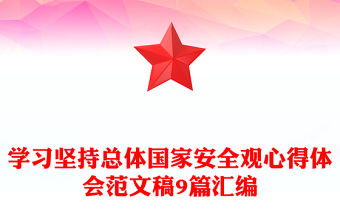 學習堅持總體國家安全觀心得體會范文稿9篇匯編
