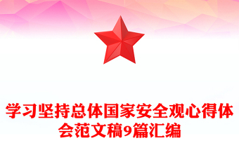 學(xué)習(xí)堅持總體國家安全觀心得體會范文稿9篇匯編