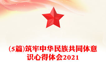 (5篇)筑牢中華民族共同體意識心得體會2021