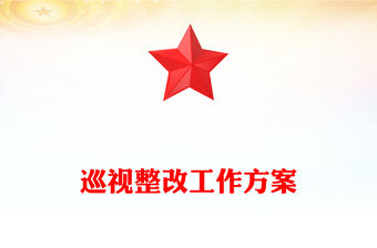 巡視整改工作方案