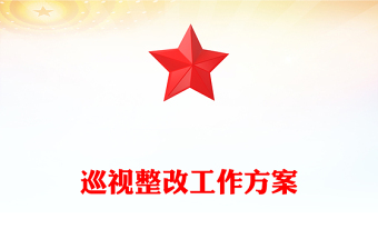 巡視整改工作方案
