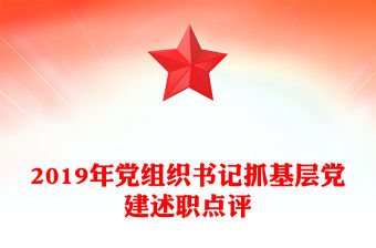 2019年黨組織書記抓基層黨建述職點評