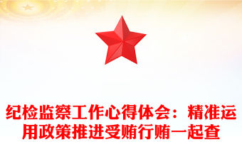 紀檢監察工作心得體會：精準運用政策推進受賄行賄一起查