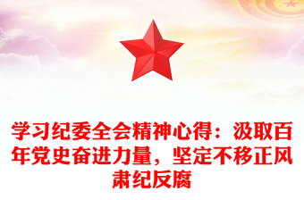學(xué)習(xí)紀委全會精神心得：汲取百年黨史奮進力量，堅定不移正風(fēng)肅紀反腐
