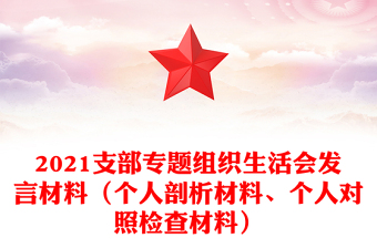 2021支部專題組織生活會發(fā)言材料（個人剖析材料、個人對照檢查材料）