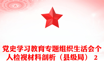 黨史學(xué)習(xí)教育專(zhuān)題組織生活會(huì)個(gè)人檢視材料剖析（縣級(jí)局） 2