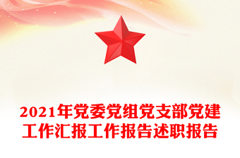 2021年黨委黨組黨支部黨建工作匯報(bào)工作報(bào)告述職報(bào)告