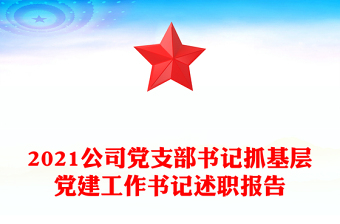 2021公司黨支部書記抓基層黨建工作書記述職報(bào)告
