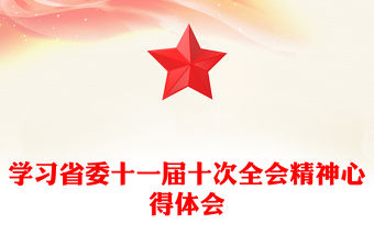 學習省委十一屆十次全會精神心得體會