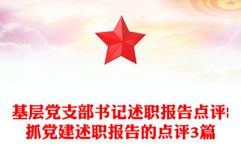 基層黨支部書記述職報告點評|抓黨建述職報告的點評3篇