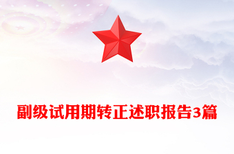 副級試用期轉(zhuǎn)正述職報告3篇
