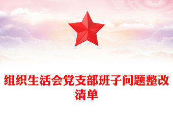 組織生活會黨支部班子問題整改清單