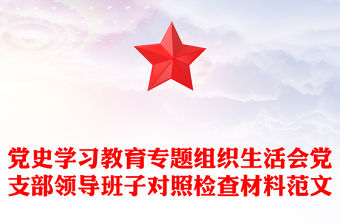 黨史學習教育專題組織生活會黨支部領導班子對照檢查材料范文