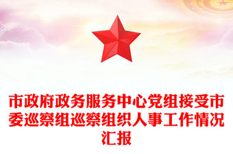 市政府政務(wù)服務(wù)中心黨組接受市委巡察組巡察組織人事工作情況匯報