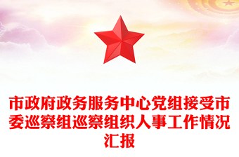 市政府政務(wù)服務(wù)中心黨組接受市委巡察組巡察組織人事工作情況匯報(bào)