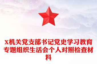 X機關黨支部書記黨史學習教育專題組織生活會個人對照檢查材料