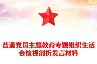 普通黨員主題教育專題組織生活會檢視剖析發言材料
