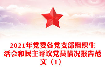 2021年黨委各黨支部組織生活會(huì)和民主評議黨員情況報(bào)告范文（1）