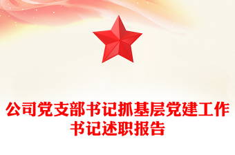 公司黨支部書記抓基層黨建工作書記述職報(bào)告