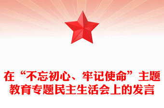 在“不忘初心、牢記使命”主題教育專題民主生活會上的發(fā)言