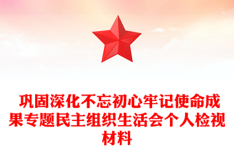  鞏固深化不忘初心牢記使命成果專題民主組織生活會(huì)個(gè)人檢視材料