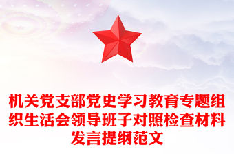 機關黨支部黨史學習教育專題組織生活會領導班子對照檢查材料發言提綱范文