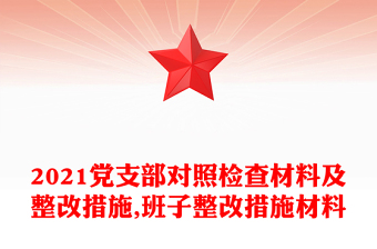2021黨支部對照檢查材料及整改措施,班子整改措施材料