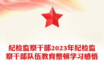 紀檢監(jiān)察干部2023年紀檢監(jiān)察干部隊伍教育整頓學習感悟