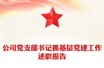 公司黨支部書記抓基層黨建工作述職報告