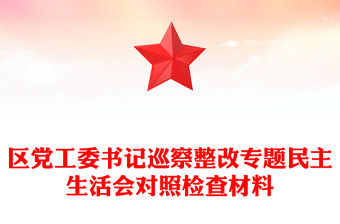 區黨工委書記巡察整改專題民主生活會對照檢查材料