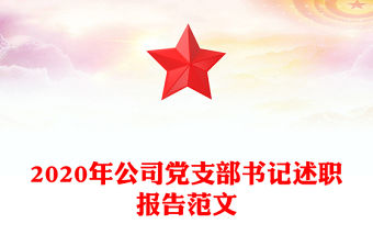 2020年公司黨支部書記述職報告范文
